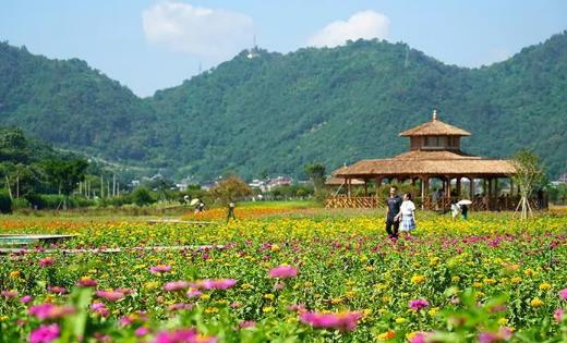 土地创业项目(农村土地流转已成趋势，有没有什么适合我们不种地农民的创业项目？)
