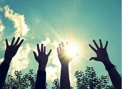 创业项目成功的关键(创业成功的关键)