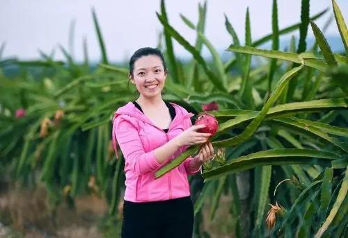 辣椒创业项目简介(想到农村办厂创业，有哪些项目投资小、见效快呢？)