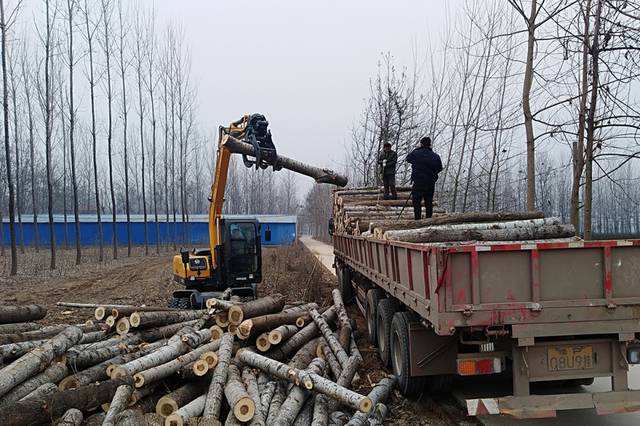 跟木头有关的创业项目(想开木材加工厂赚钱不)