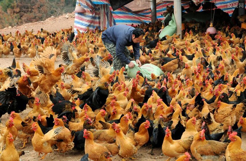 松滋农民创业项目(松滋返乡创业二期是在城东工业园吗)