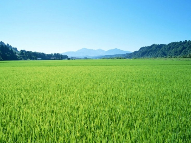 农村加盟创业项目(农村创业的好项目)