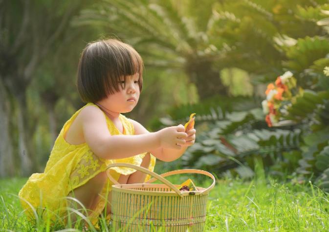 与教育有关的创业项目(家庭教育创业项目)