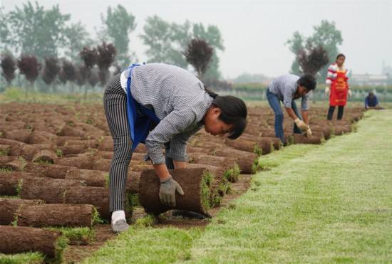 致富经创业项目养殖(创业致富经？)