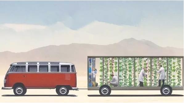 国外种菜创业项目(国外新颖创业项目有哪些)