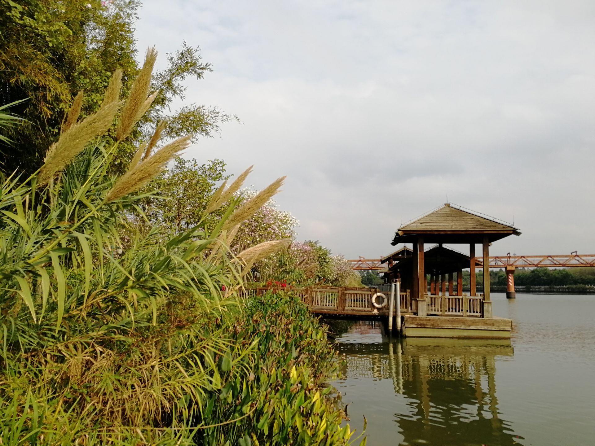 广州花城创业项目(广州花城创业投资管理有限公司怎么样？)