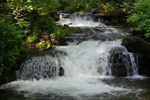 吉林创业项目(开厂创业项目有哪些)