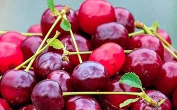 环保水果创业项目(环保领域创业？)