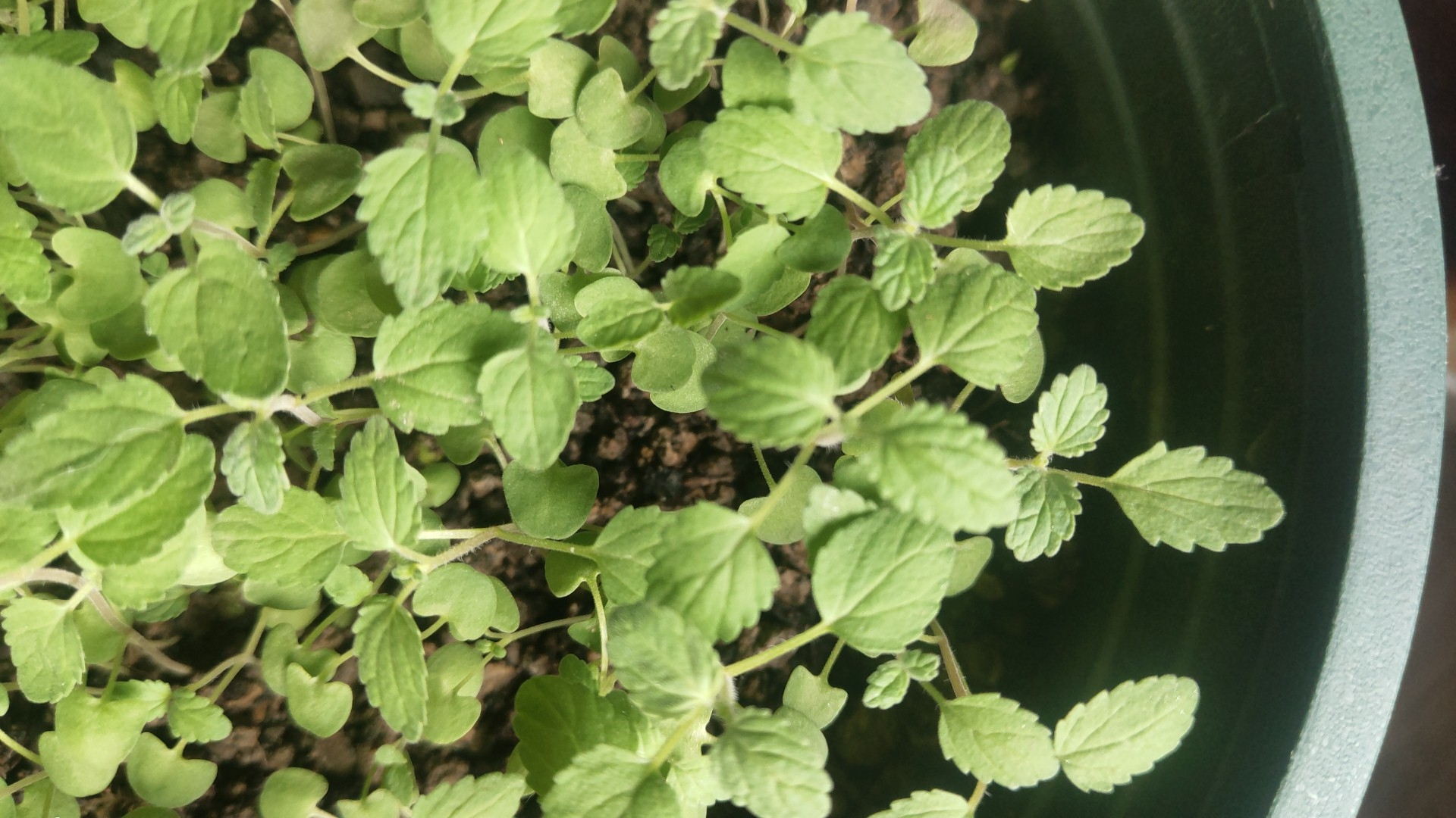 纸老虎创业项目(为什么我的名字不叫贫穷？)