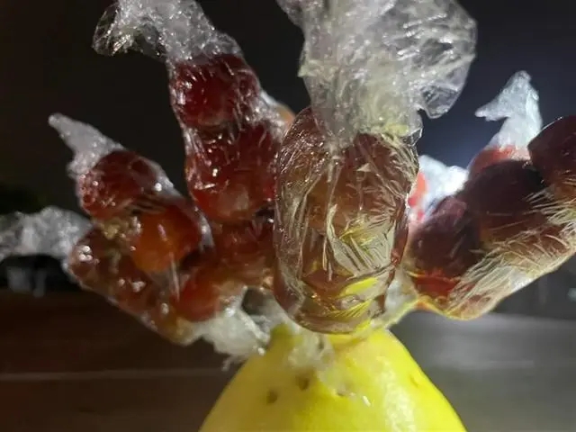 昆明创业项目好吗(在云南昆明老家创业，做什么比较赚钱？)