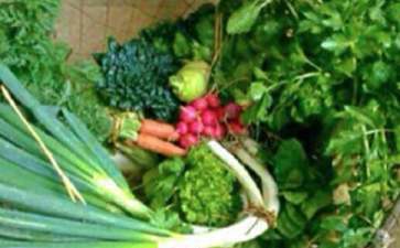 医疗创业项目(十大健康创业项目是什么)