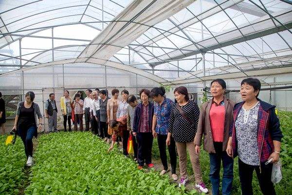 农业地摊创业项目(农村适合做什么生意)