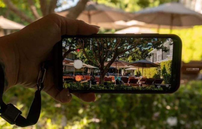 直播经济创业项目(直播有没有什么创新创业点)