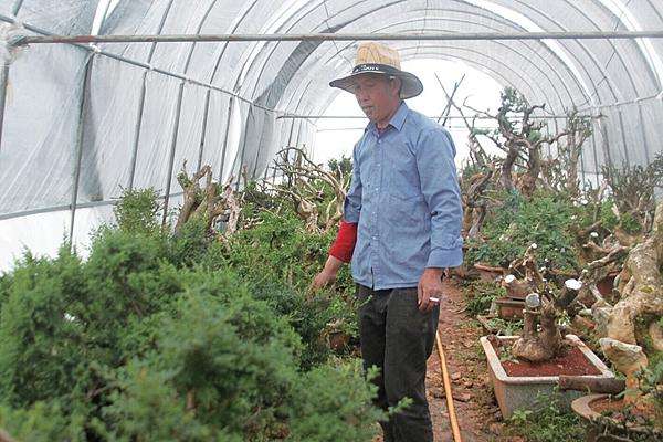 央视创业项目介绍(CCTV的讲创业的栏目叫什么名字？)