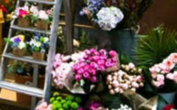 花点创业项目来源(大学生花店创业计划书范文1000字)