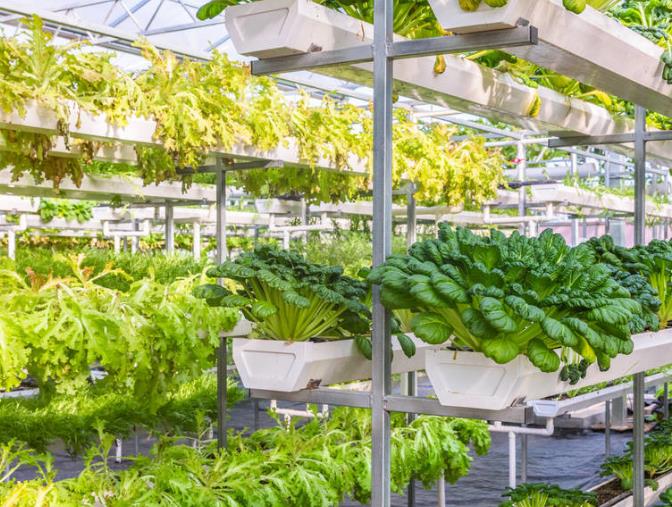 山东各县创业项目(适合在县城做的9个小本创业项目)