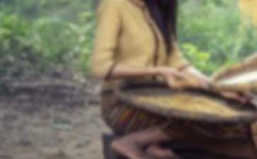 马鸣乡创业项目(带头人事迹材料)