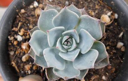 马术创业项目(哪些热门创业小项目可以尝试)