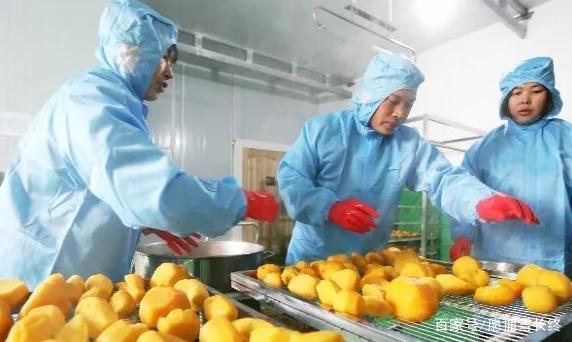 桂林创业项目(在桂林做什么生意好做啊)