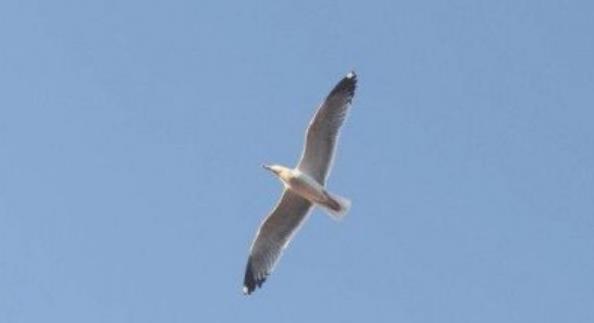 创业项目的问题(创业中会遇到的问题)