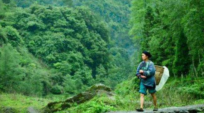 小伙进山创业项目(山区农村创业项目)