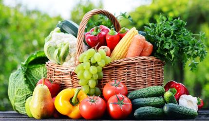 小区开店创业项目(在小区附近创业开什么店比较好)