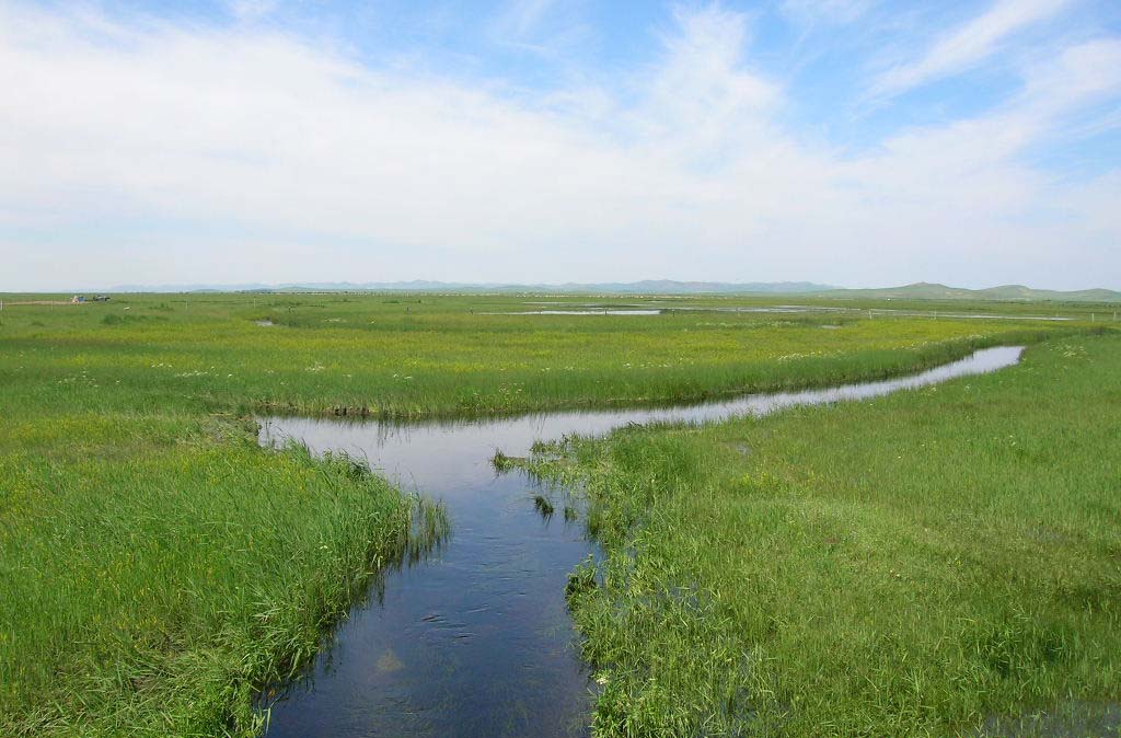 正蓝旗创业项目(正黄旗世家是什么意思)