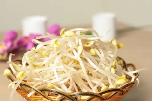 青岛豆芽创业项目(豆芽行业创业的前景如何？)