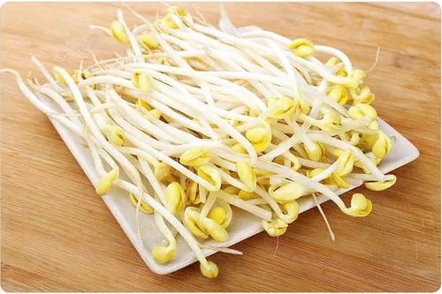 青岛豆芽创业项目(豆芽行业创业的前景如何？)