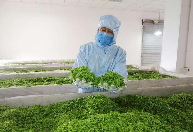 农村机械创业项目(机械行业如何创业？)