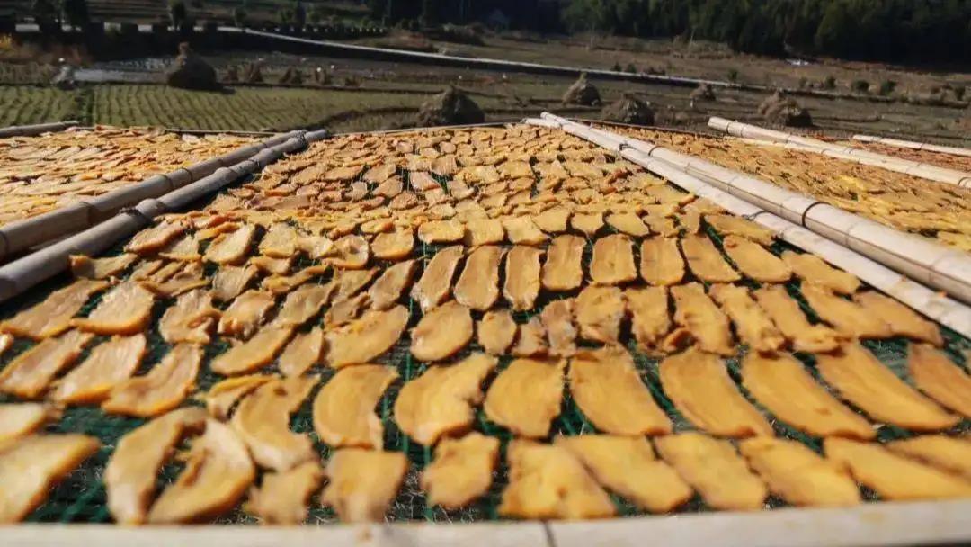 福建农村创业项目(福建00后女生，返乡创业卖出2千吨地瓜干，是什么让她走上了这条道路？)