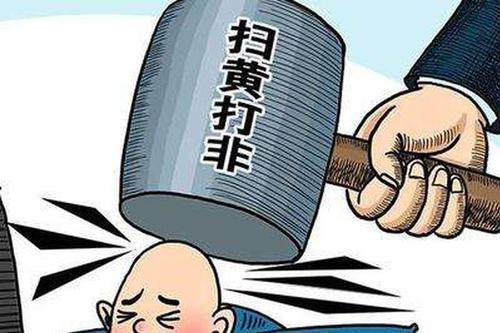 扫黄行业创业项目(扫黄打非专项行动有几个？)