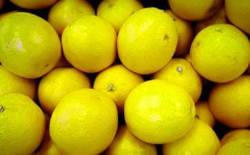 水果创业项目(水果店的创业计划书)