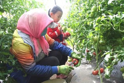 宁夏创业项目(宁夏创业扶持项目)