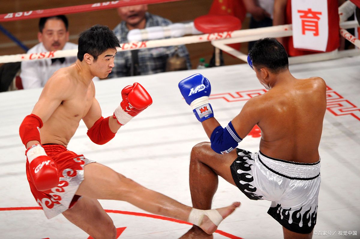 泰国搏击创业项目(搏击商海 小女子目标是赚到300万)