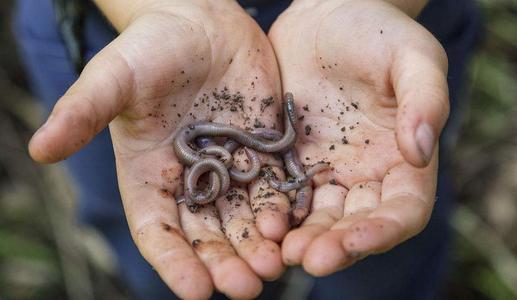 博士大叔创业项目(大连在读博士四万元创业成千万富翁)