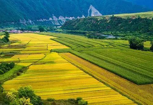 农村万元投资创业项目(农村有哪些创业项目？)