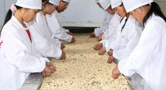 手工作坊创业项目(小作坊创业项目有哪些？)