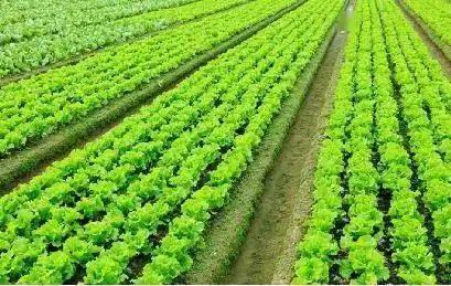 40岁创业项目(40岁的人想创业，目前有哪些投资小，见效快的项目呢？)