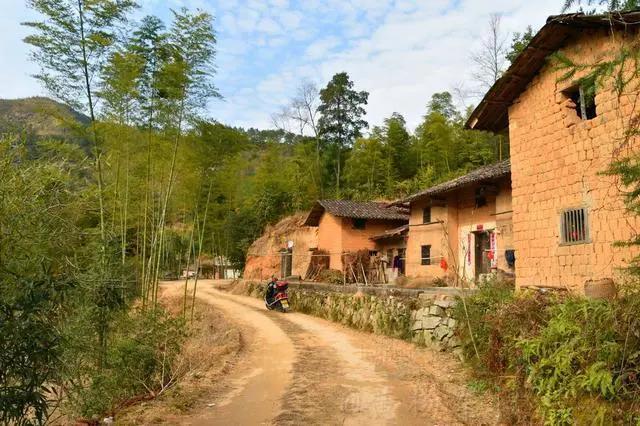 农家果园创业项目(适合在农村做的25个项目)