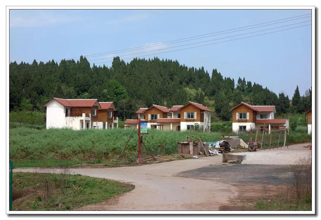 农家果园创业项目(适合在农村做的25个项目)