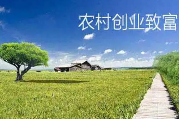 致富找创业项目(致富经创业项目有哪些？)