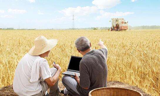 回乡创业项目缺乏(国家鼓励回乡农民创业，农民创业面临的问题有哪些？)