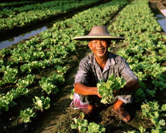 回乡创业项目缺乏(国家鼓励回乡农民创业，农民创业面临的问题有哪些？)