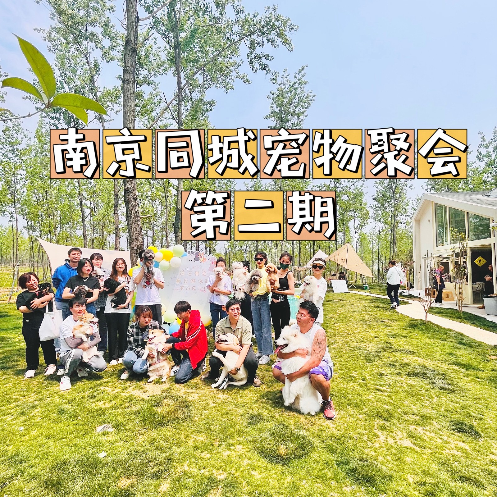 宠物养护创业项目(宠物洗澡这个创业项目市场需求如何？)