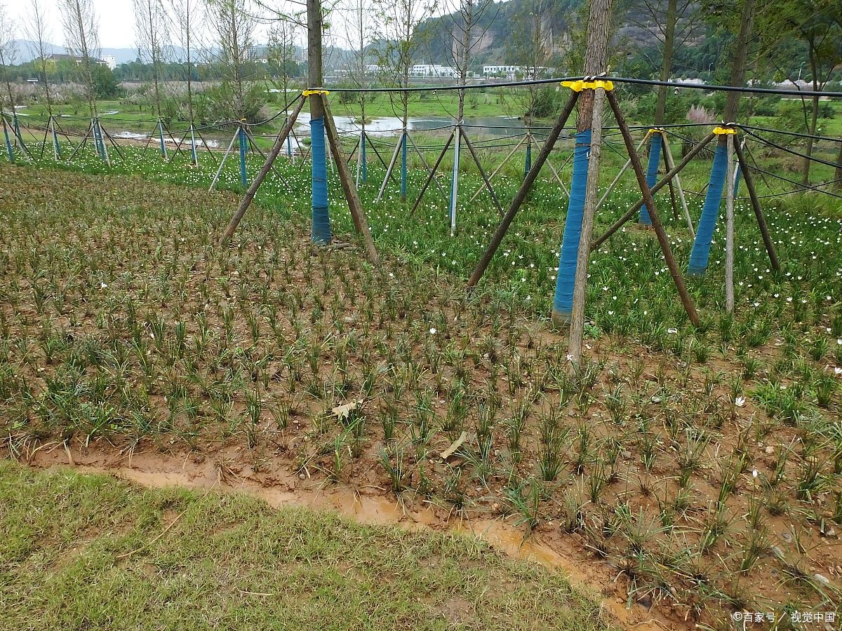 适合穷人的18个创业项目(适合穷人开的小店)