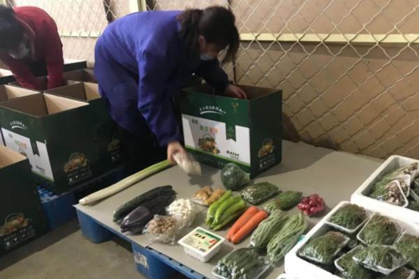 过去创业项目代理(10个轻松创业项目)