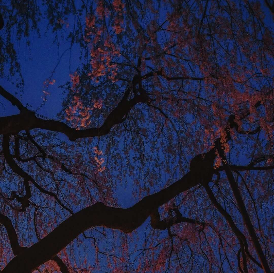 适合学生创业项目(适合大学生的创业项目有哪些？)