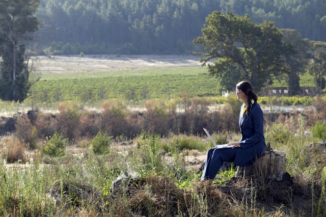 农村创业项目理由(选择农林牧渔企业的创业理由)