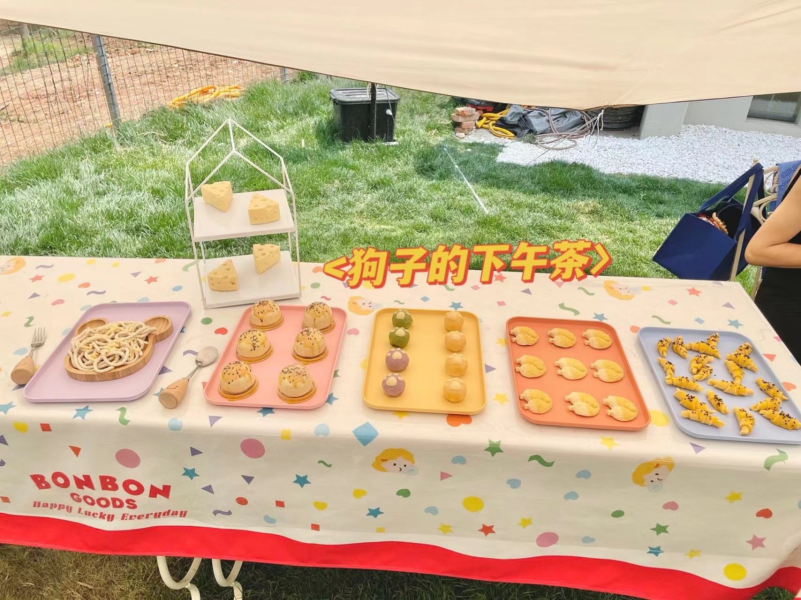 宠物创业项目(宠物行业有哪些值得做的好项目？)